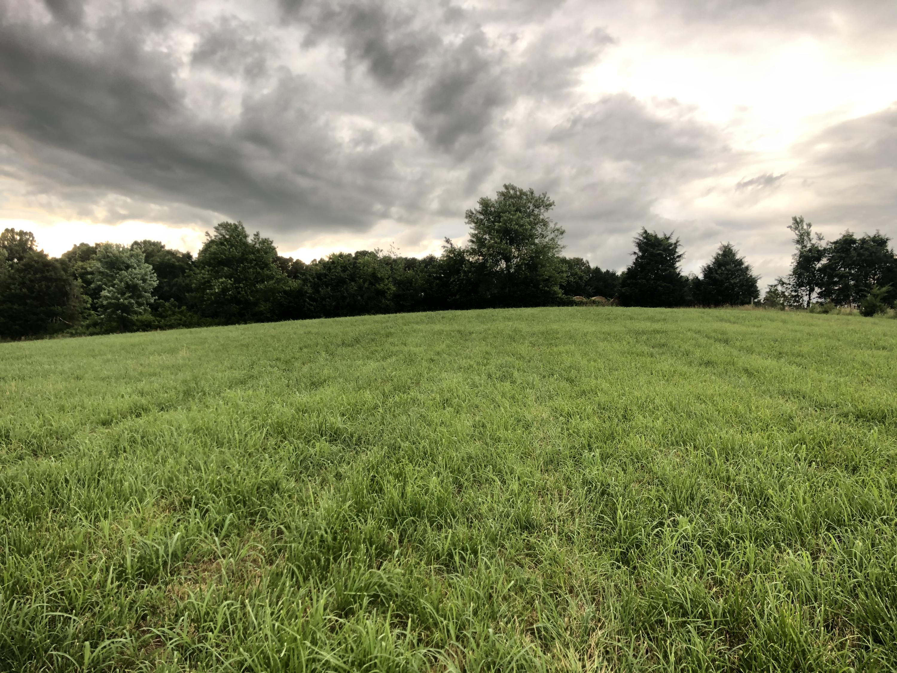 55 Flag Branch Road Greeneville, TN 37743 - Photo 49 of 52 IMG_9433