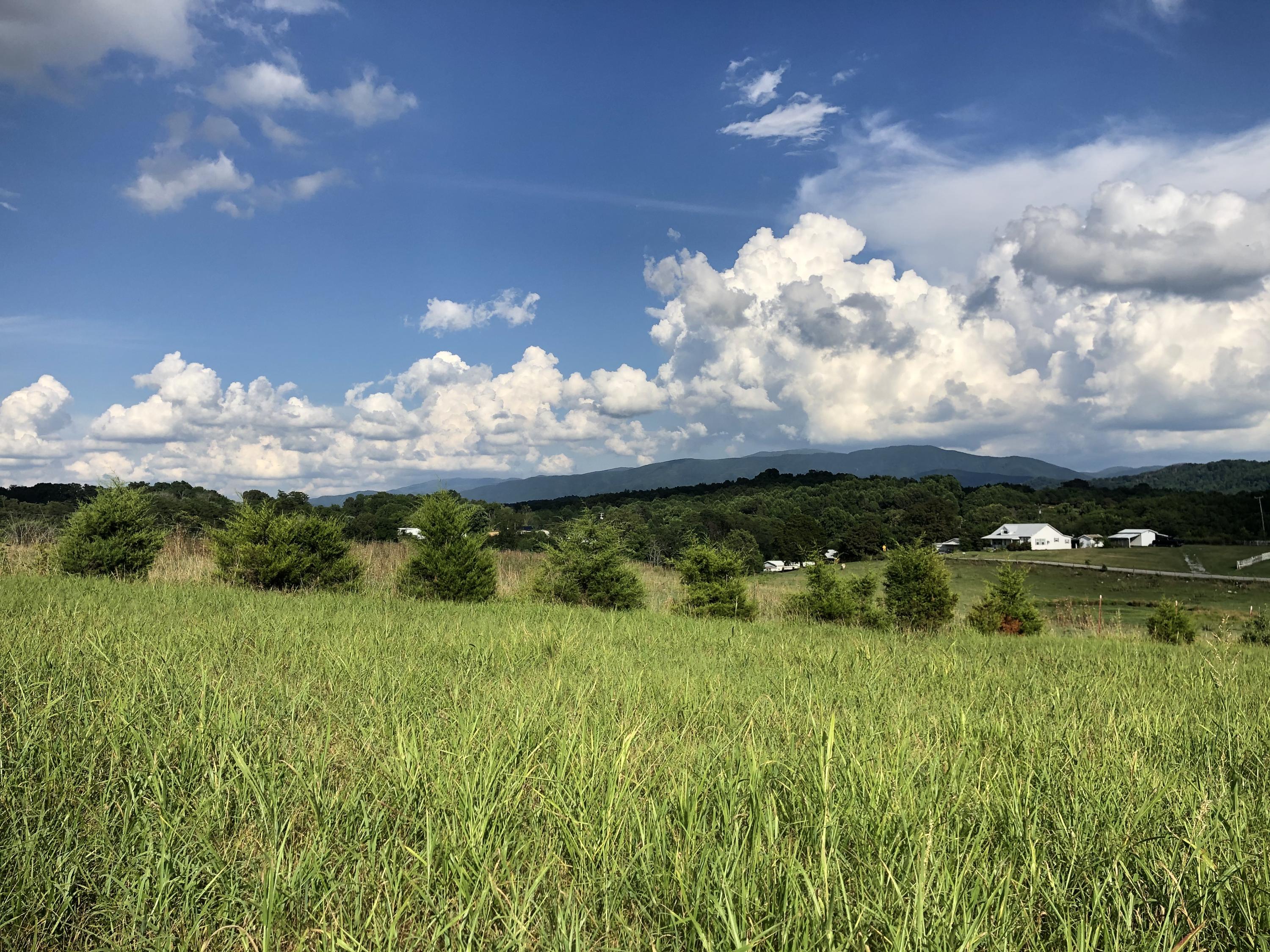 55 Flag Branch Road Greeneville, TN 37743 - Photo 5 of 52 IMG_9961