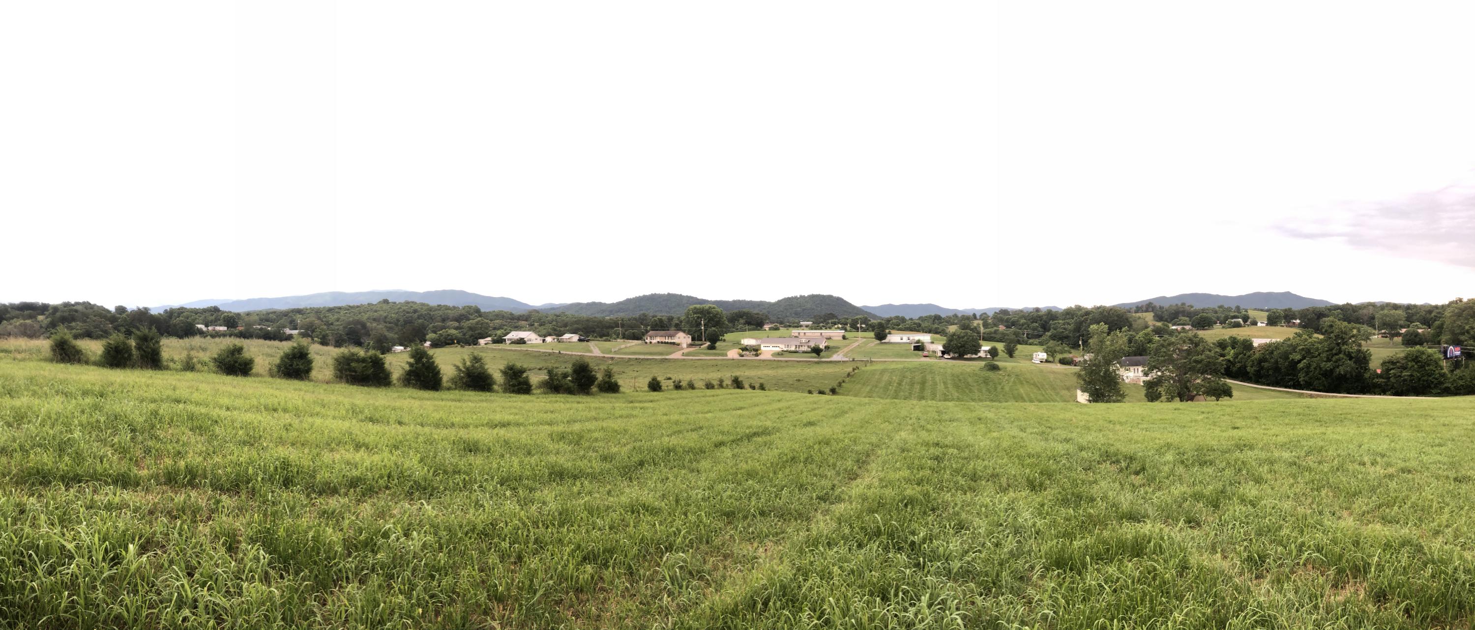 55 Flag Branch Road Greeneville, TN 37743 - Photo 52 of 52 IMG_9439