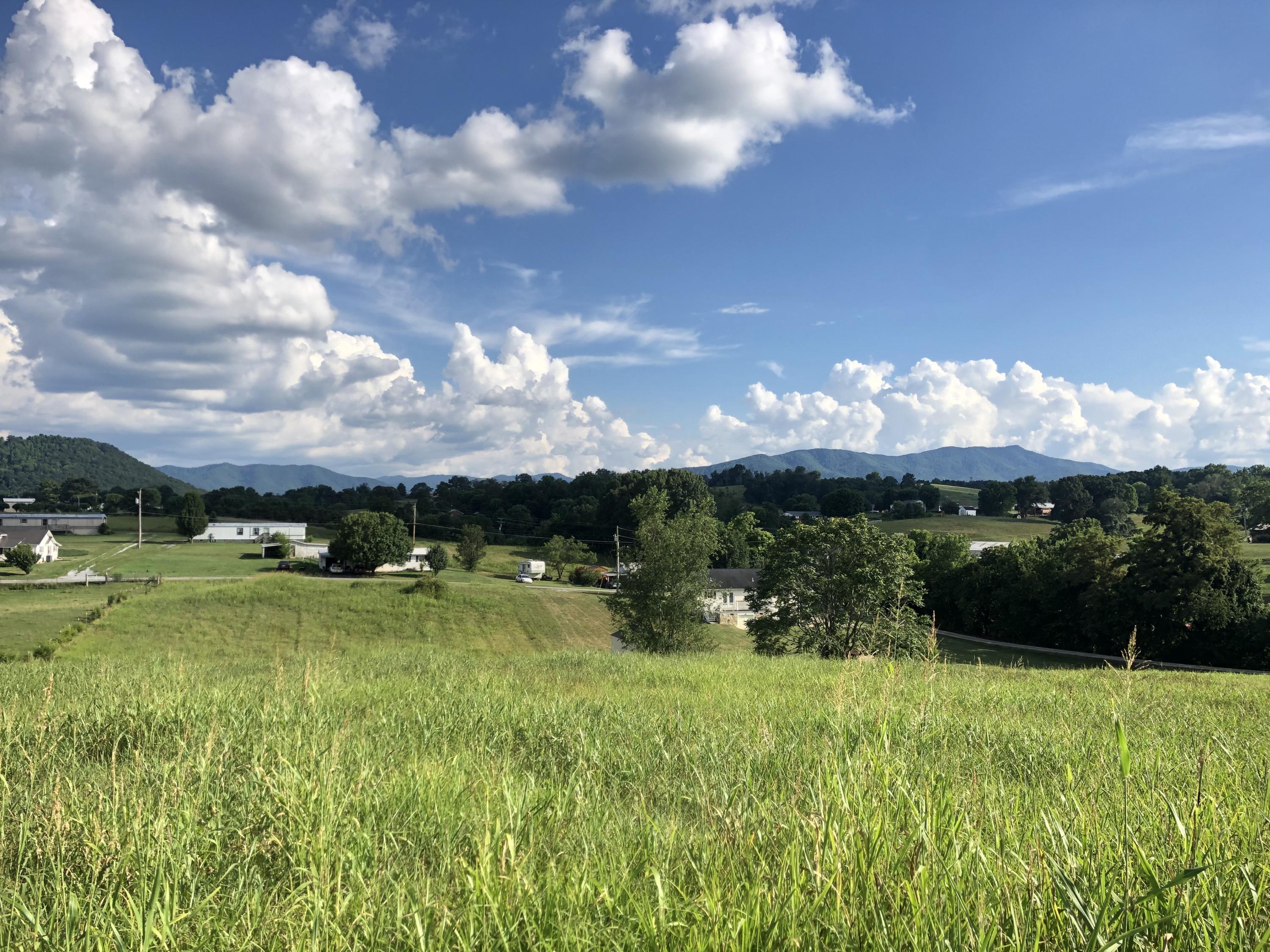 55 Flag Branch Road Greeneville, TN 37743 - Photo 6 of 52 IMG_9960