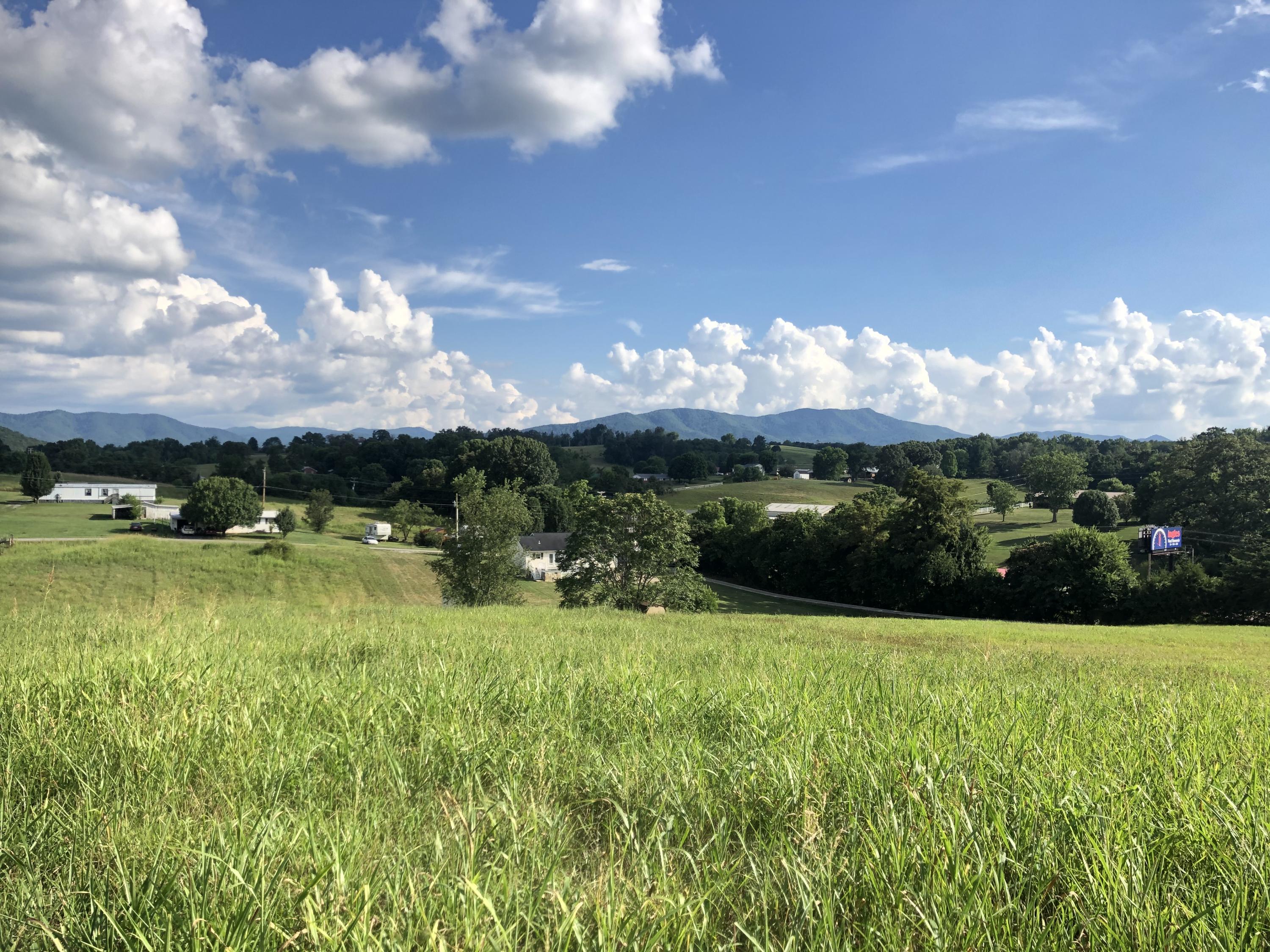 55 Flag Branch Road Greeneville, TN 37743 - Photo 7 of 52 IMG_9962