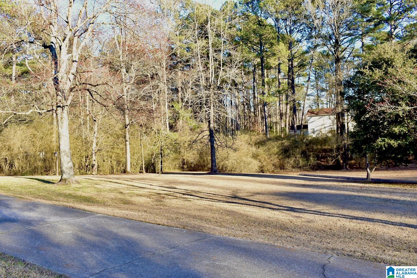 19 Liberty Ridge Road Chelsea, AL 35043 - Photo 4 of 17