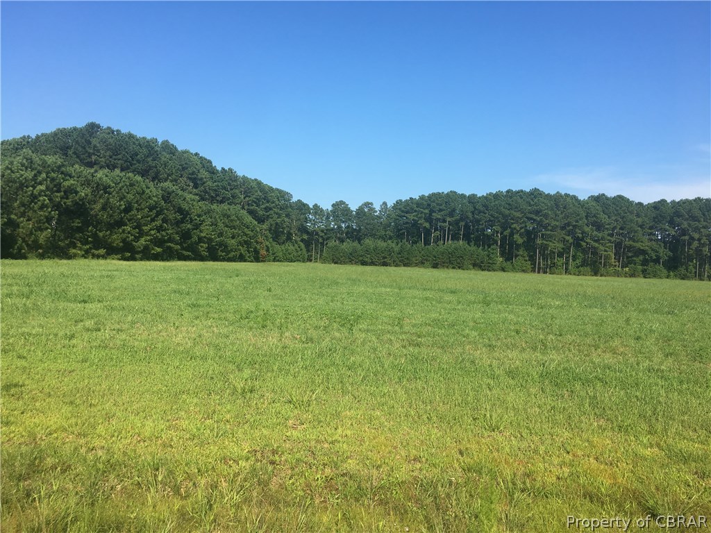 0 Peach Point Road Mathews, VA 23109 - Photo 3 of 14