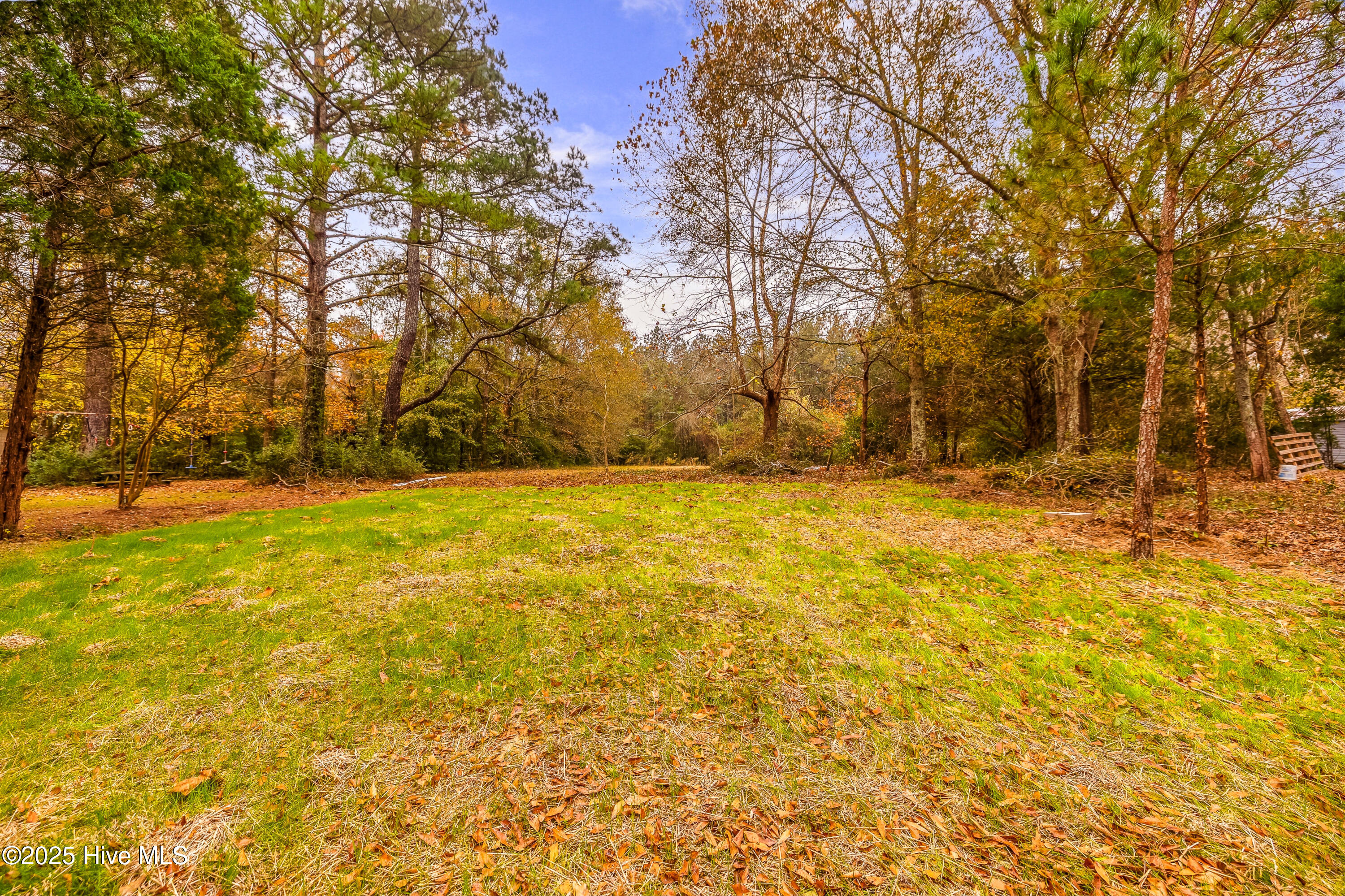1350 Croomsbridge Road Burgaw, NC 28425 - Photo 11 of 37 1Q3A0230(3)-Edit--web-2