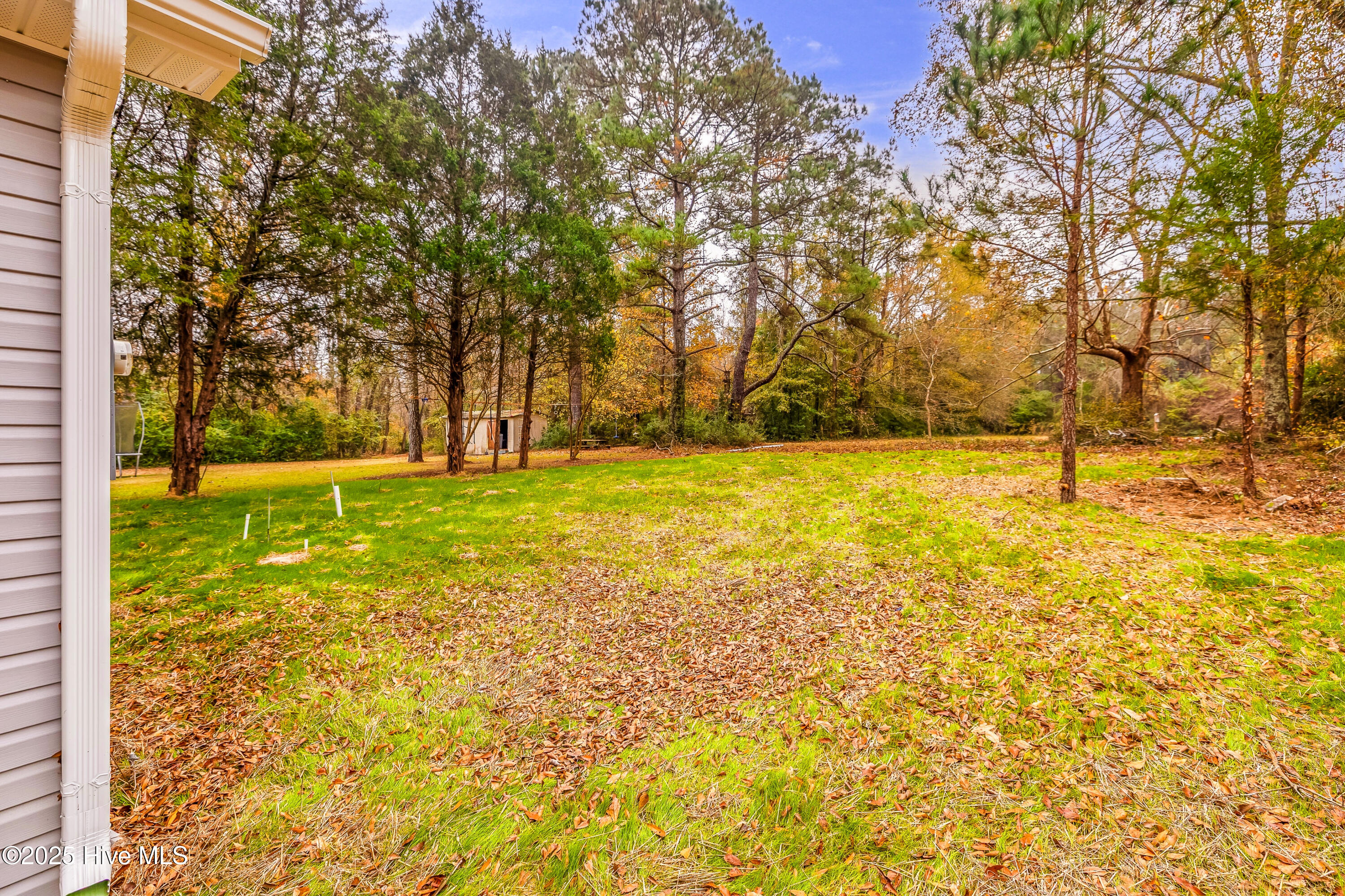 1350 Croomsbridge Road Burgaw, NC 28425 - Photo 19 of 37 1Q3A0229-Edit--web-2