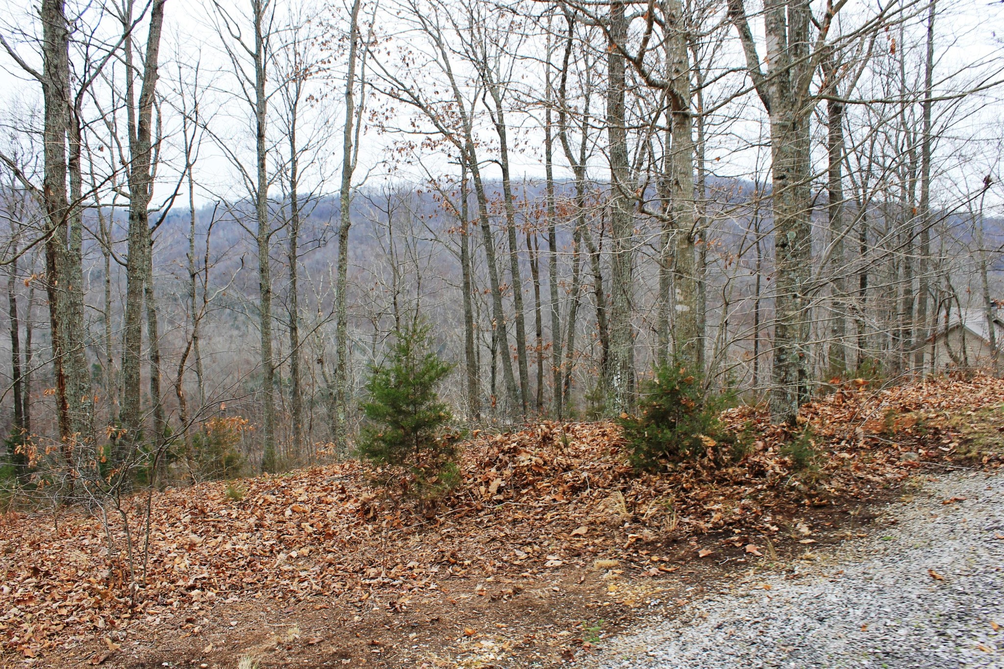 2 Cornerstone Pkwy Point Allons, TN 38541 - Photo 6 of 13