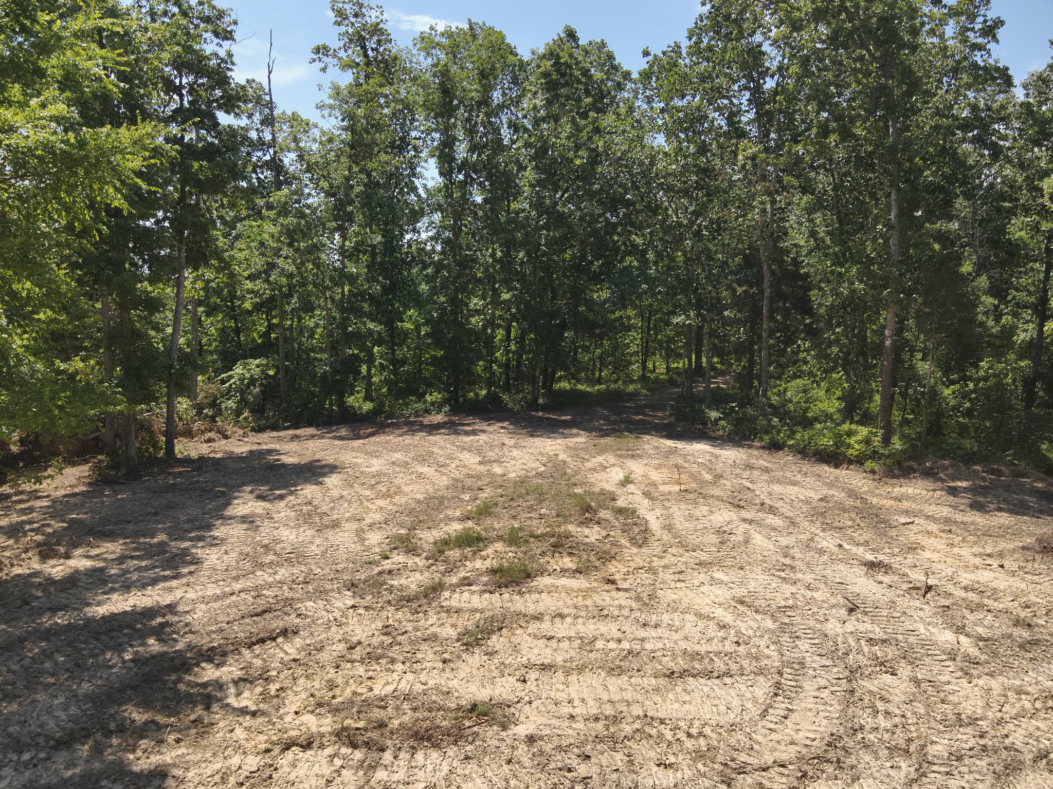 0 Bear Creek Road Waverly, TN 37185 - Photo 20 of 35 a view of outdoor space and yard