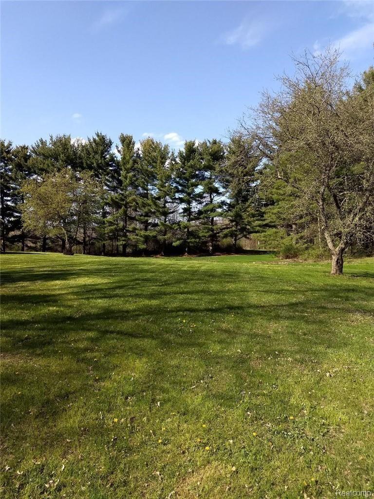 6199 Bergin Road Howell, MI 48843 - Photo 10 of 30 sertert.jpg