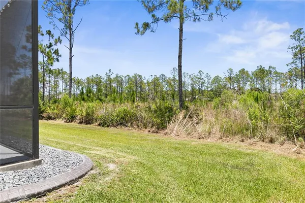 a view of a yard with palm trees