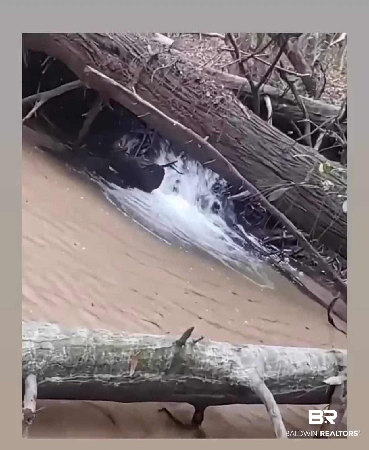 25400 Goat Cooper Road Robertsdale, AL 36567 - Photo 32 of 34 Waterfall-Side Creek
