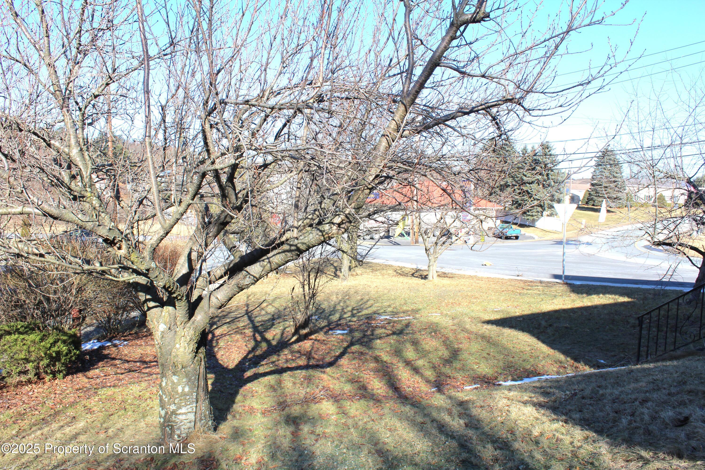 838 George Street Throop, PA 18512 - Photo 13 of 82 Side Yard