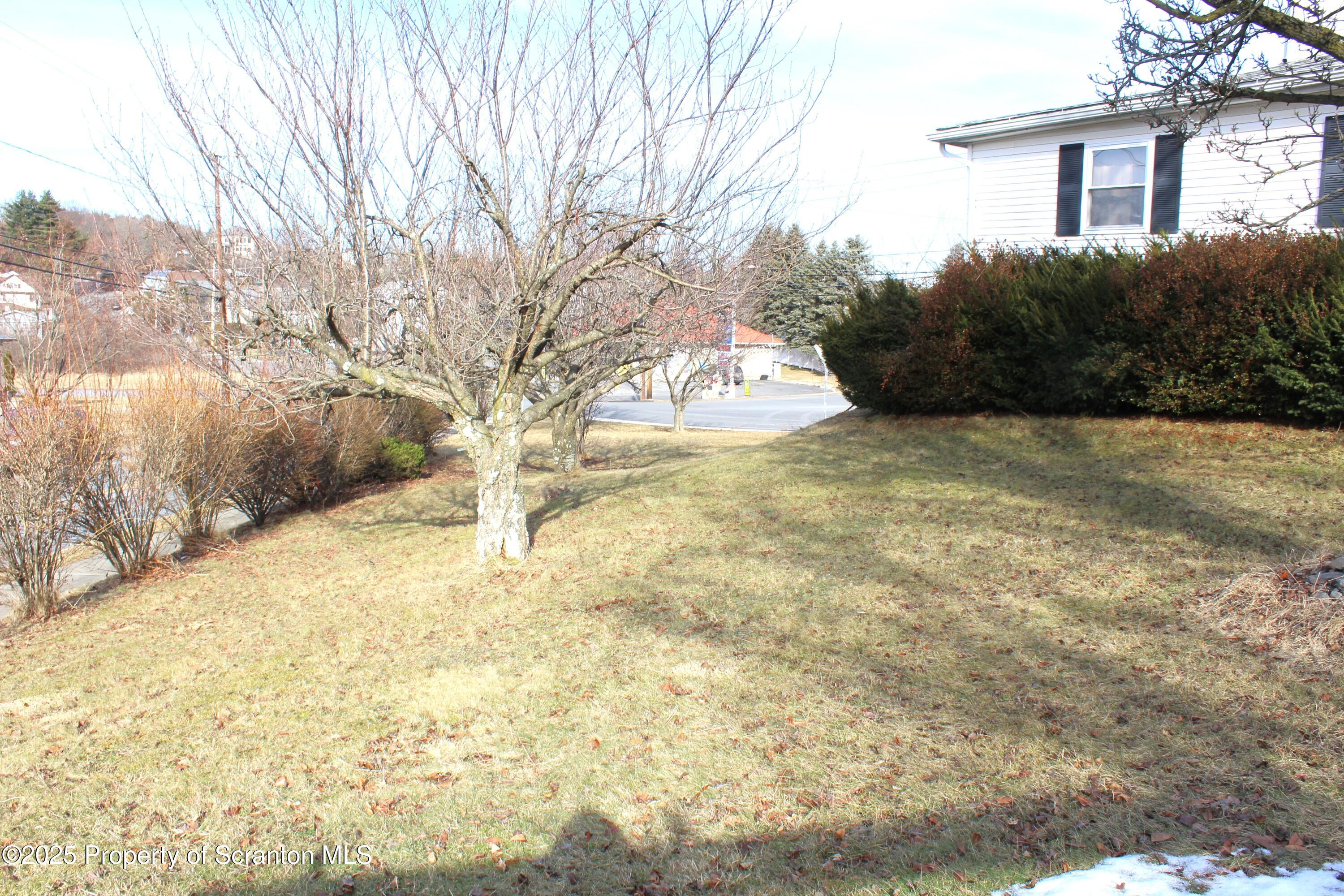 838 George Street Throop, PA 18512 - Photo 16 of 82 Side Yard