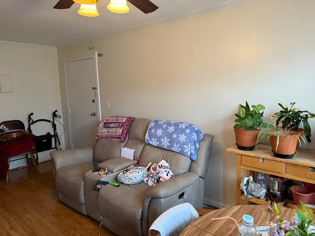 a living room with furniture flowerpot and window