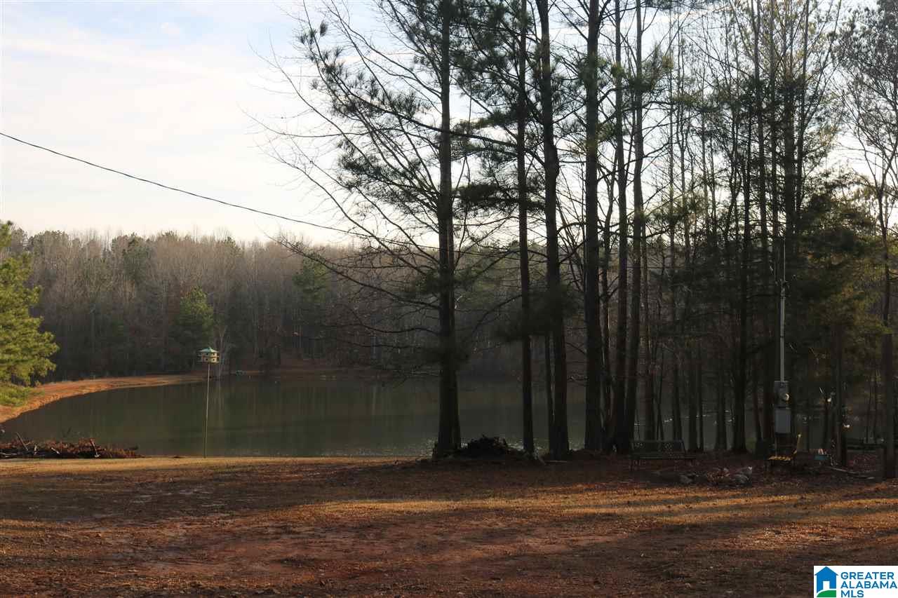0 County Road 928, Unit 36 Delta, AL 36258 - Photo 11 of 20