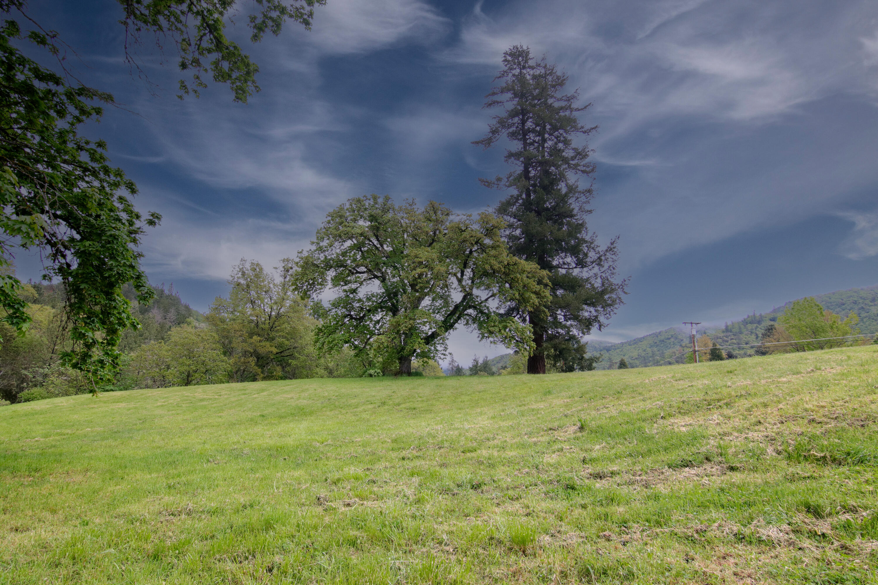 2661 Wards Creek Road Rogue River, OR 97537 - Photo 9 of 15 a view of a yard with a tree