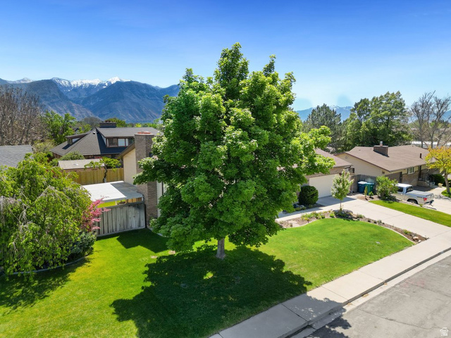 865 South 325 West Orem, UT 84058 - Photo 36 of 38 Lush green lawn with mature tree shading, a two-car driveway, and a partially visible garage
