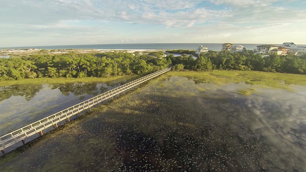 Tbd Blue Moon Lane Santa Rosa Beach, FL 32459 - Photo 2 of 7 beach walkway aerial