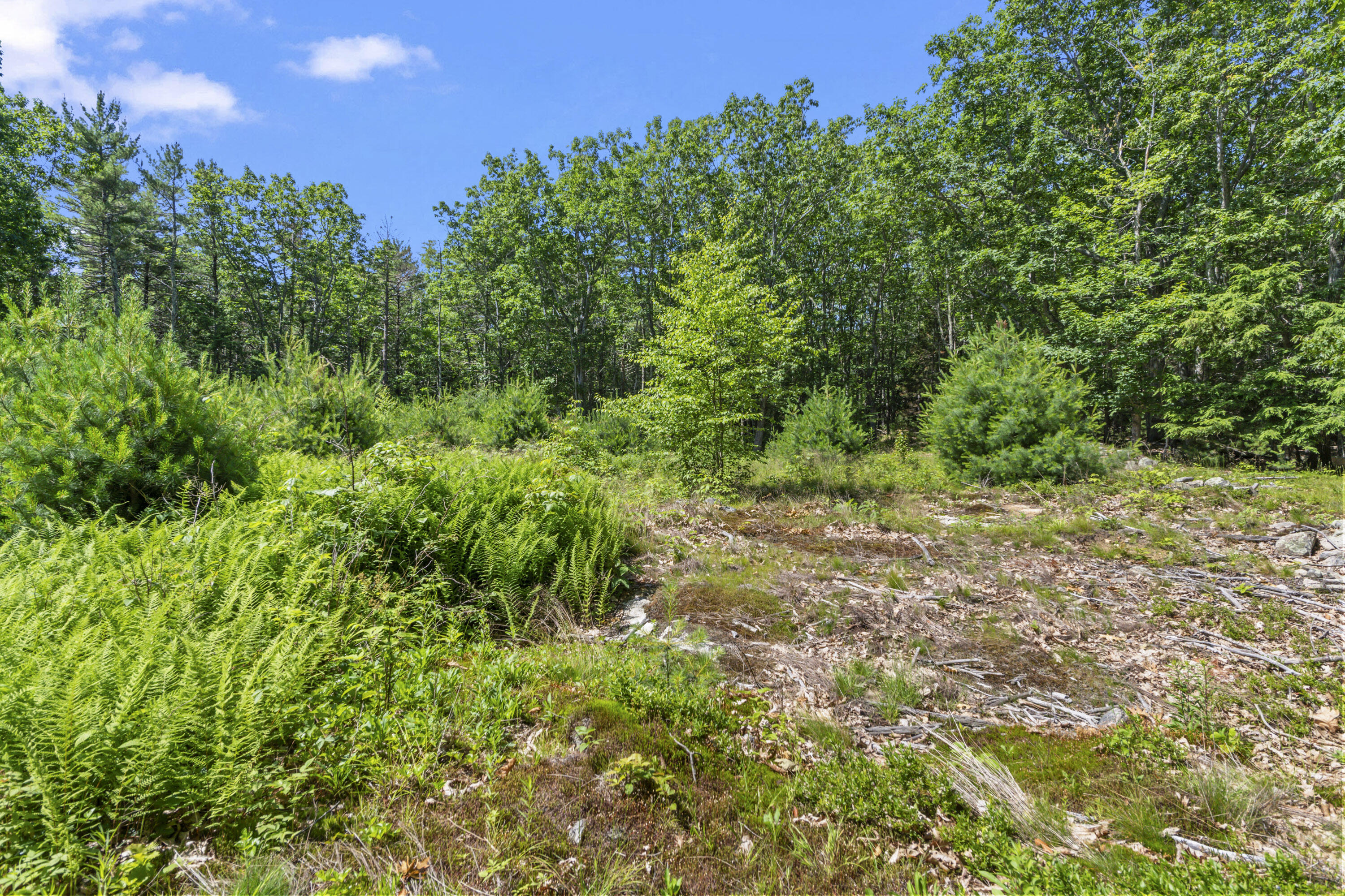 119 Pine Hill Road Cape Neddick, ME 03902 - Photo 1 of 19 119 Pine Hill Rd, Cape Neddick