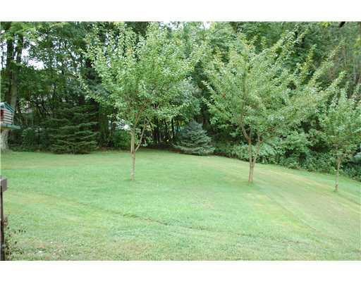 415 Ridge Road Brownsville, PA 15417 - Photo 17 of 22 Yard/Garden.