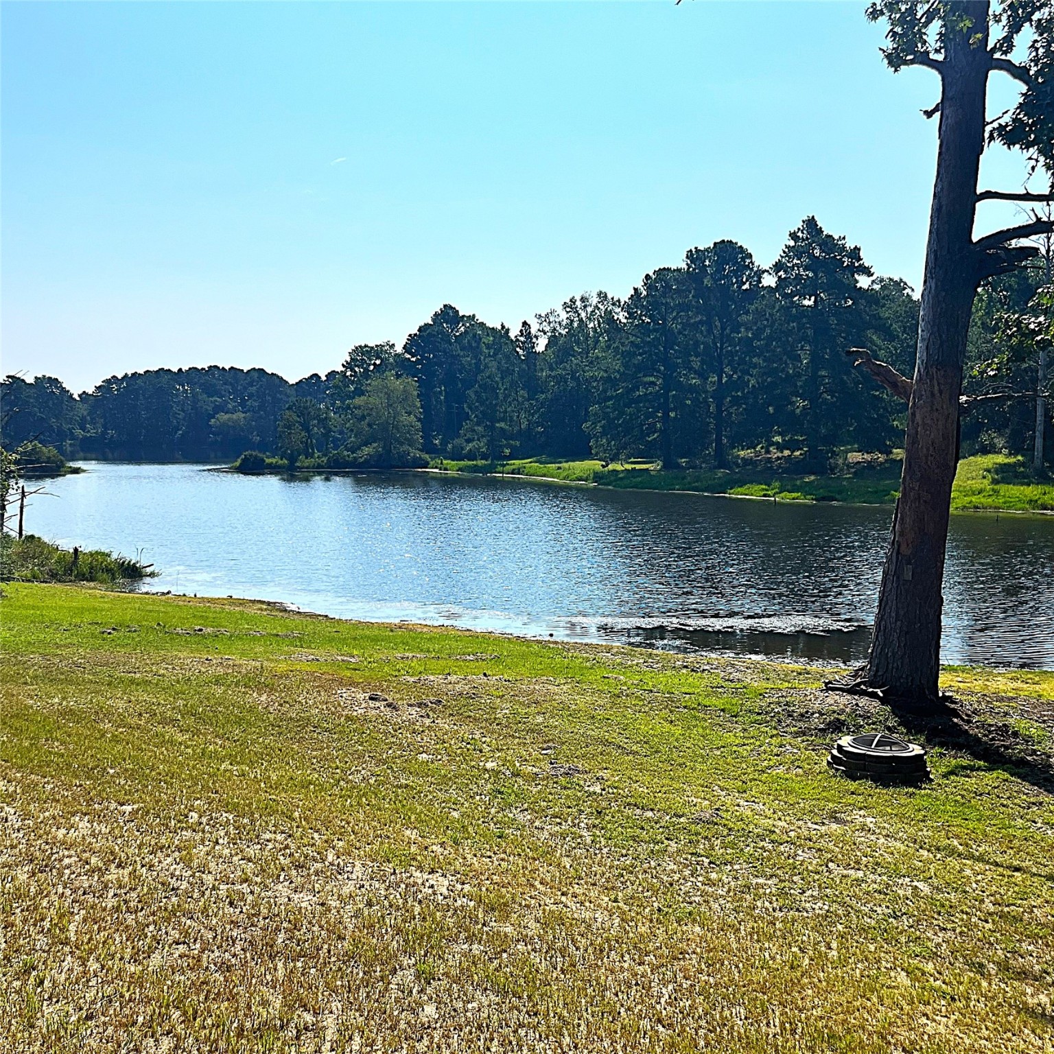 12125 County Road 149 Centerville, TX 75833 - Photo 22 of 26