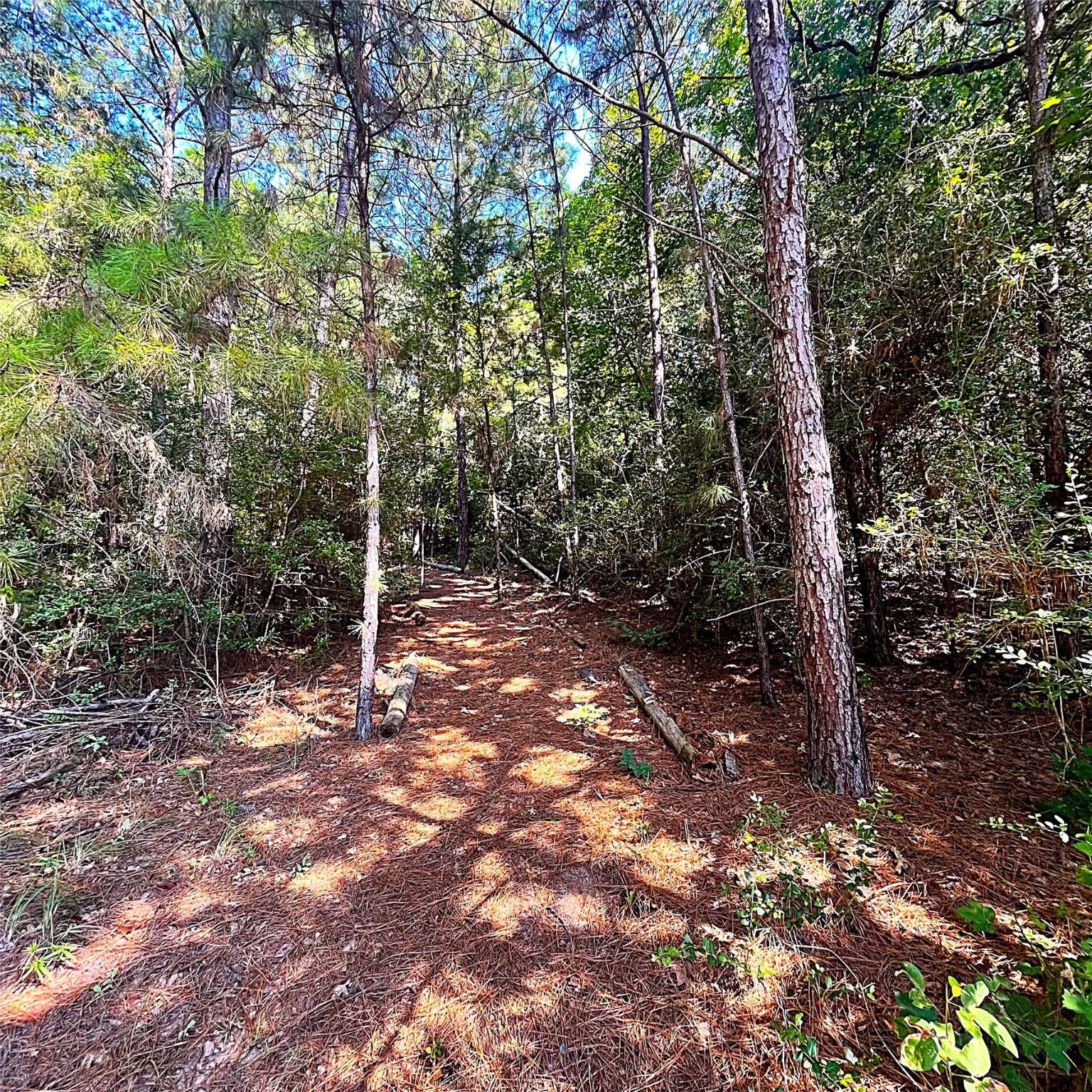 12125 County Road 149 Centerville, TX 75833 - Photo 23 of 26