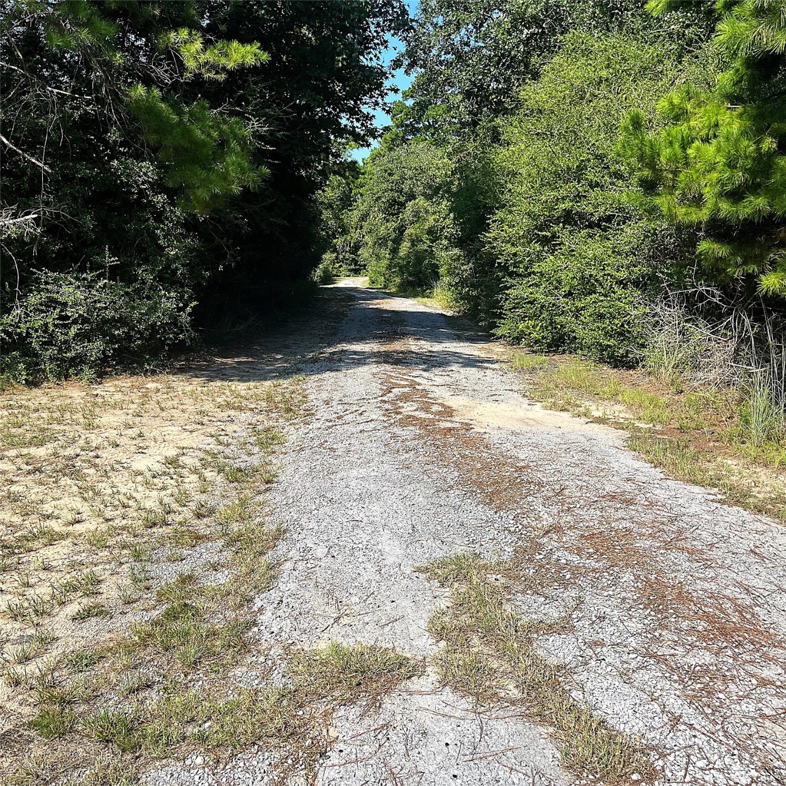 12125 County Road 149 Centerville, TX 75833 - Photo 26 of 26