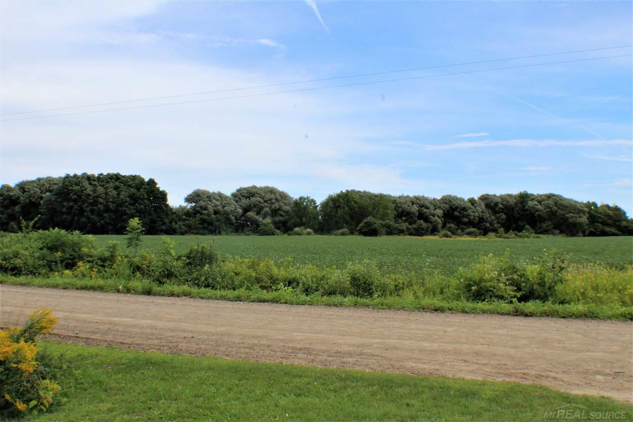 6604 Babcock Road Lexington, MI 48450 - Photo 39 of 50