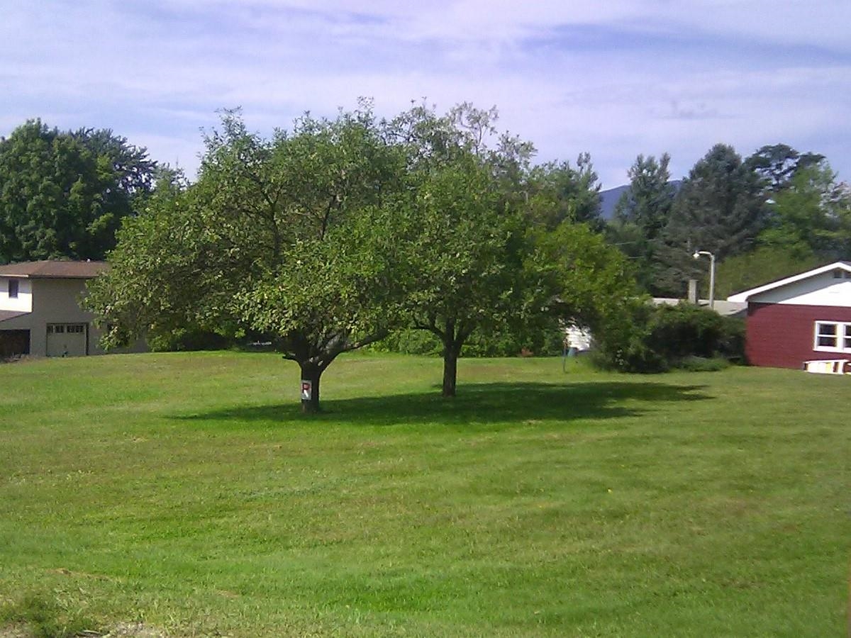 145 Langdell Road Morristown, VT 05661 - Photo 2 of 5