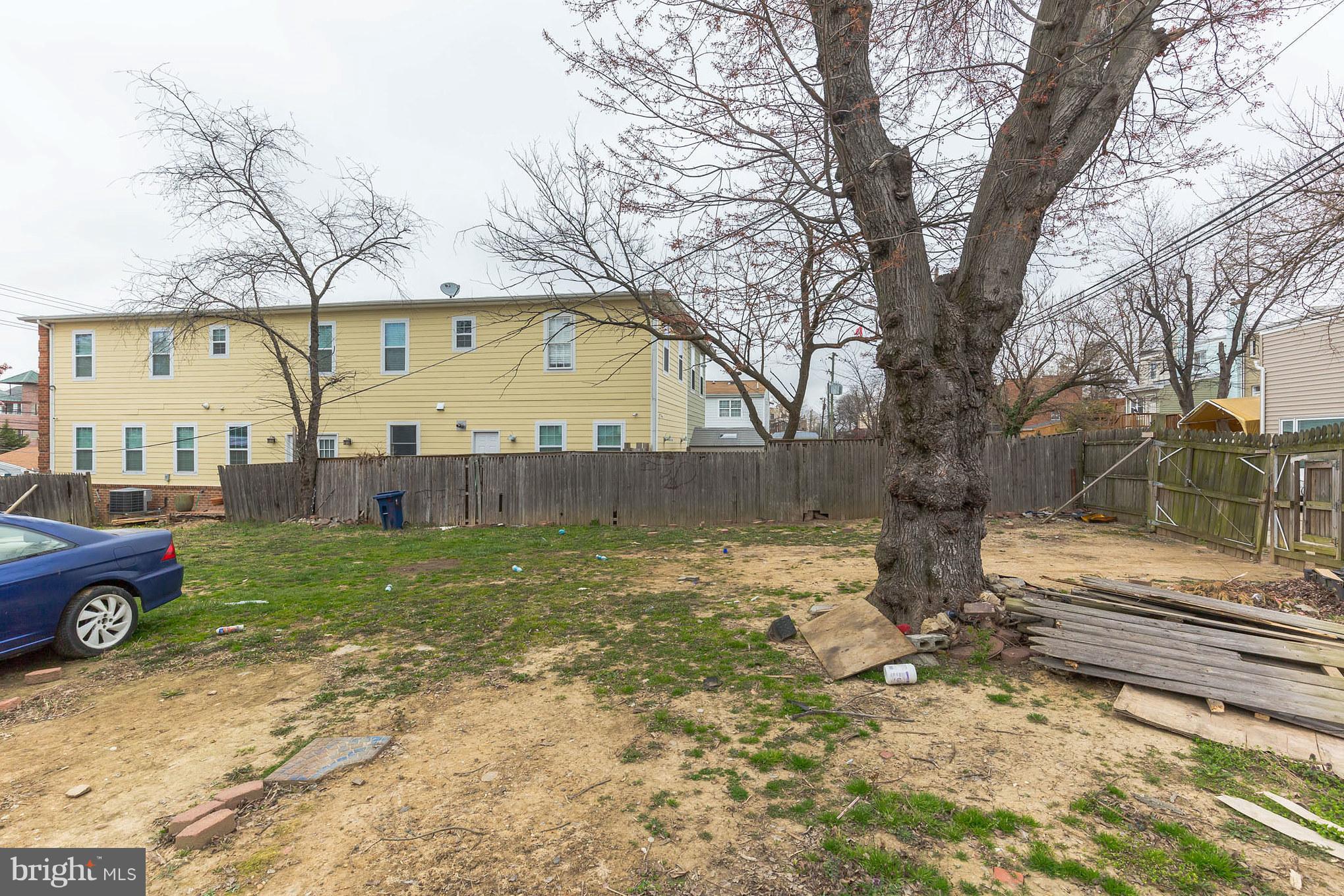 41 East Reed Avenue Alexandria, VA 22305 - Photo 11 of 30 a view of a big yard with a large tree