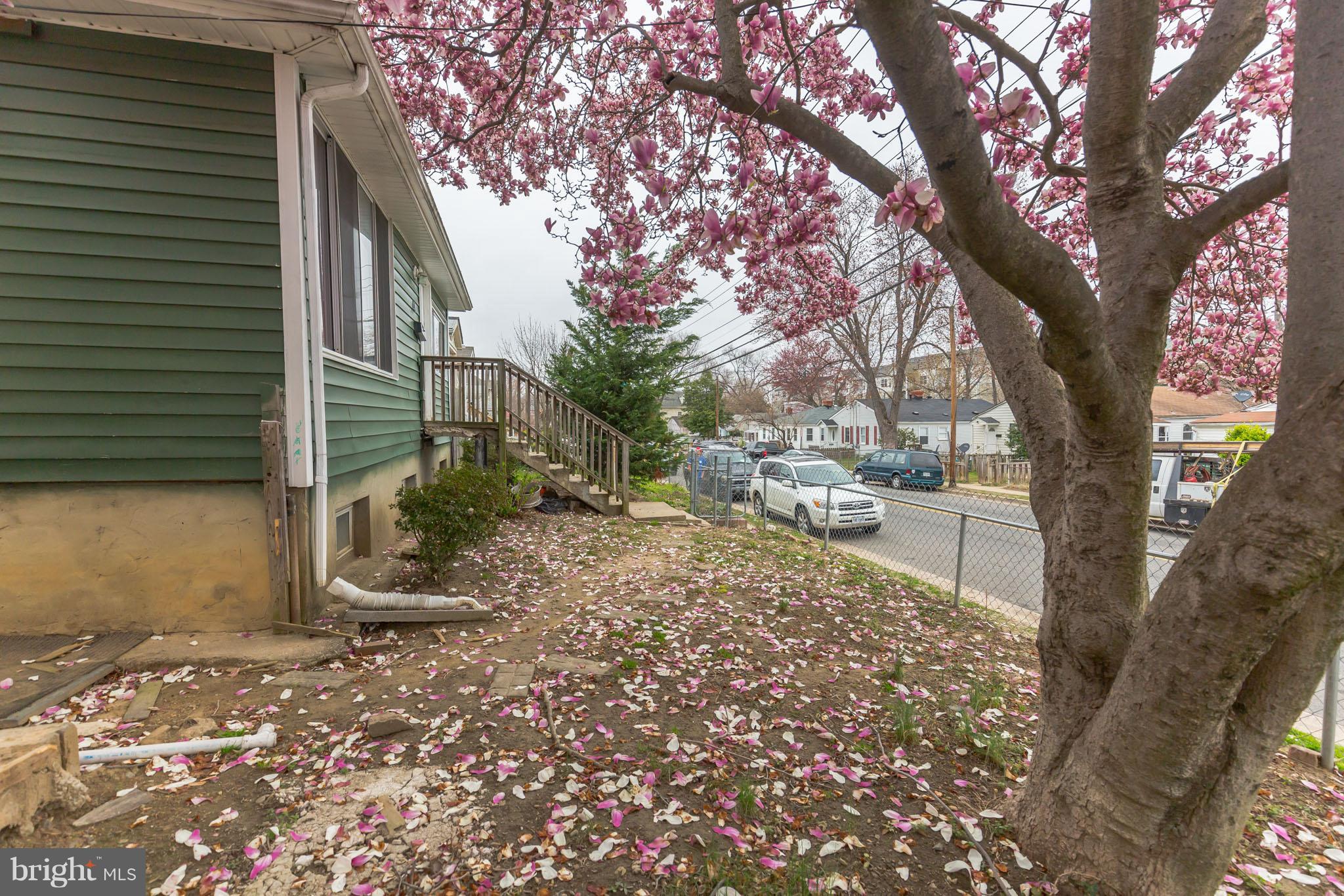 41 East Reed Avenue Alexandria, VA 22305 - Photo 28 of 30 a backyard of a house with lots of green space