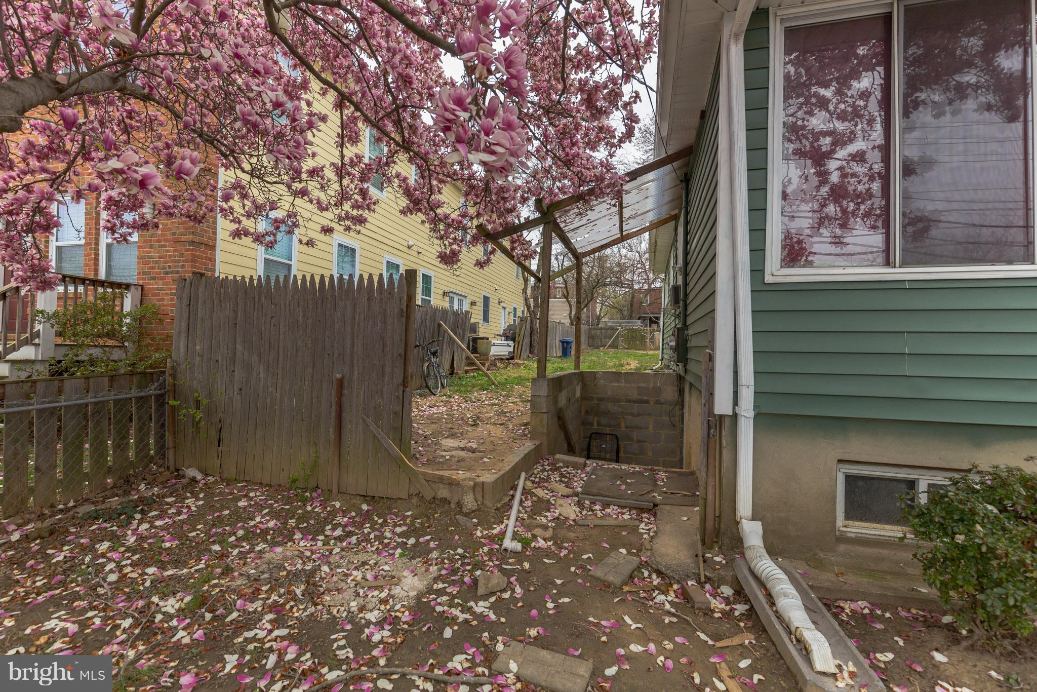 41 East Reed Avenue Alexandria, VA 22305 - Photo 29 of 30 a backyard of a house with lots of green space