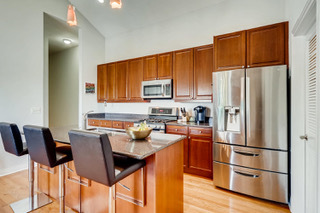 930 West Cuyler Avenue, Unit 3E Chicago, IL 60613 - Photo 5 of 14