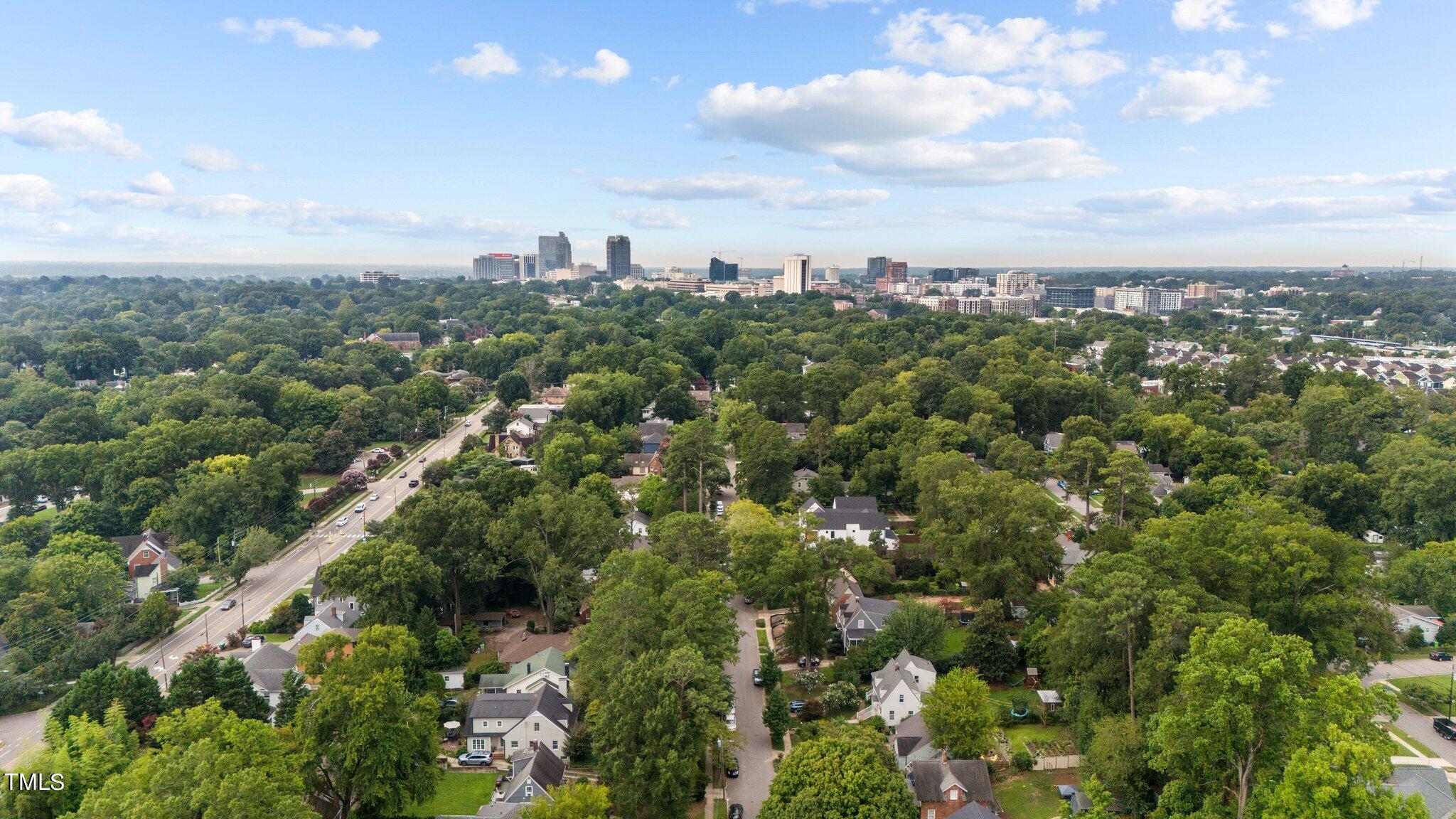 1330 Mordecai Drive Raleigh, NC 27604 - Photo 54 of 56 a view of a city