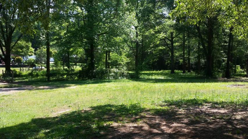 415 Haynie Mill Road Belton, SC 29627 - Photo 7 of 25