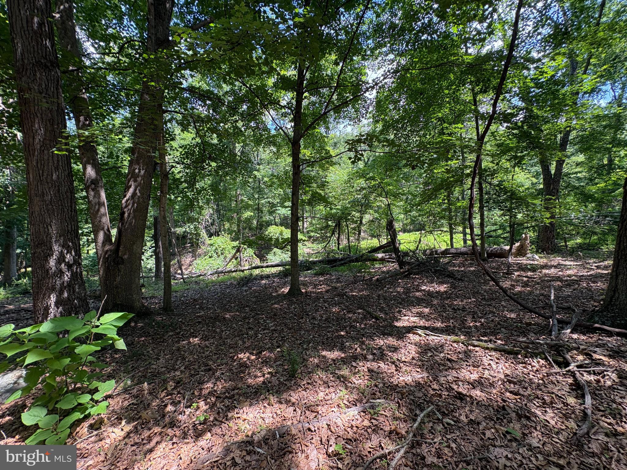 16 Rolling Acres Road Old Fields, WV 26845 - Photo 4 of 21