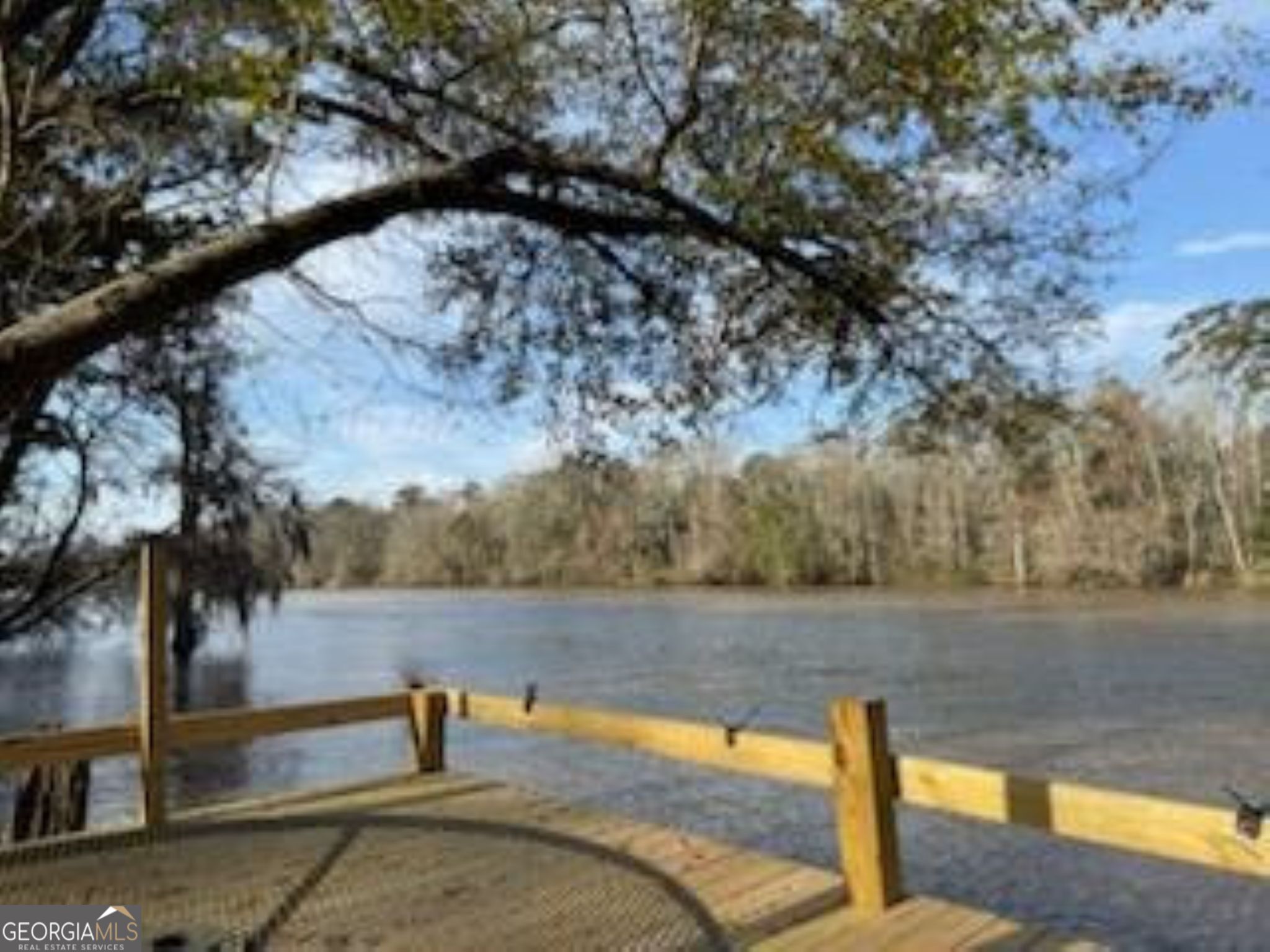 a view of a lake with a tree