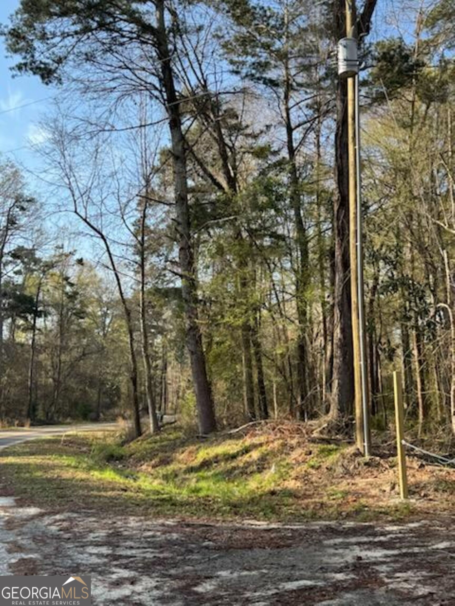 320 Drayton Woods Road Vienna, GA 31092 - Photo 11 of 11 a view of a tiny house with a yard