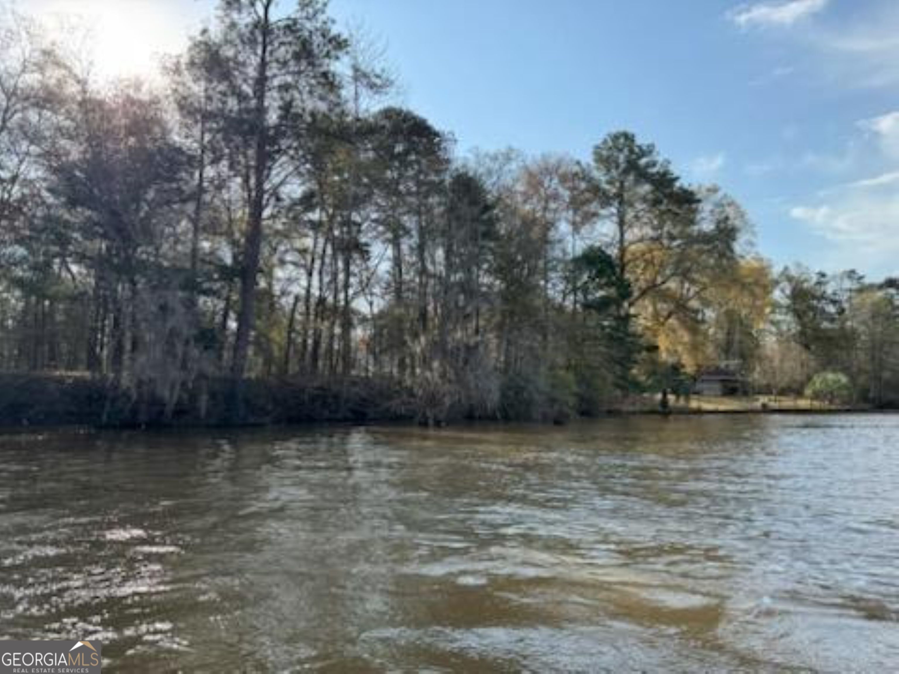 320 Drayton Woods Road Vienna, GA 31092 - Photo 2 of 11 a view of a lake view