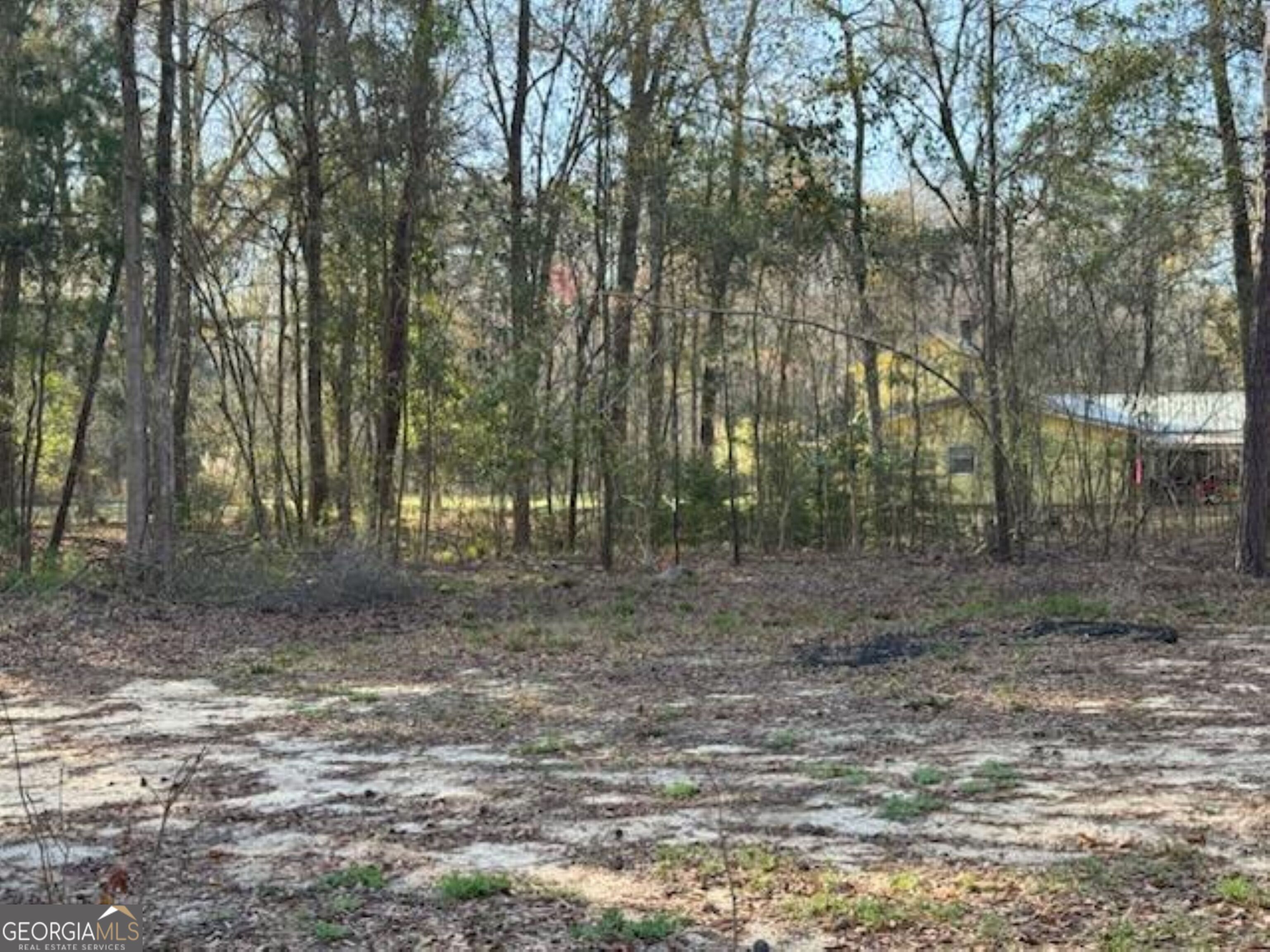 320 Drayton Woods Road Vienna, GA 31092 - Photo 3 of 11 a view of a yard with trees