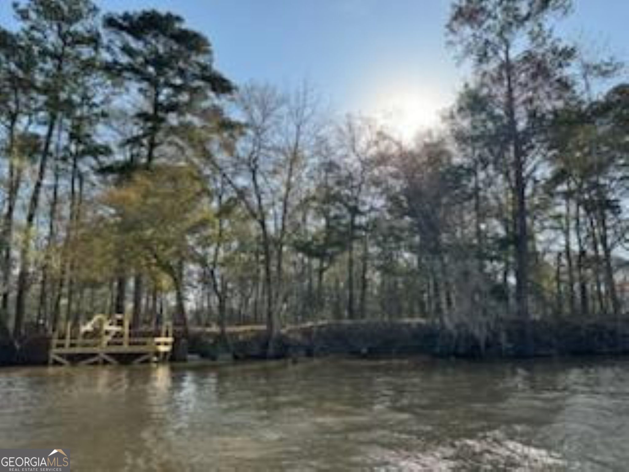 320 Drayton Woods Road Vienna, GA 31092 - Photo 5 of 11 a view of a lake view
