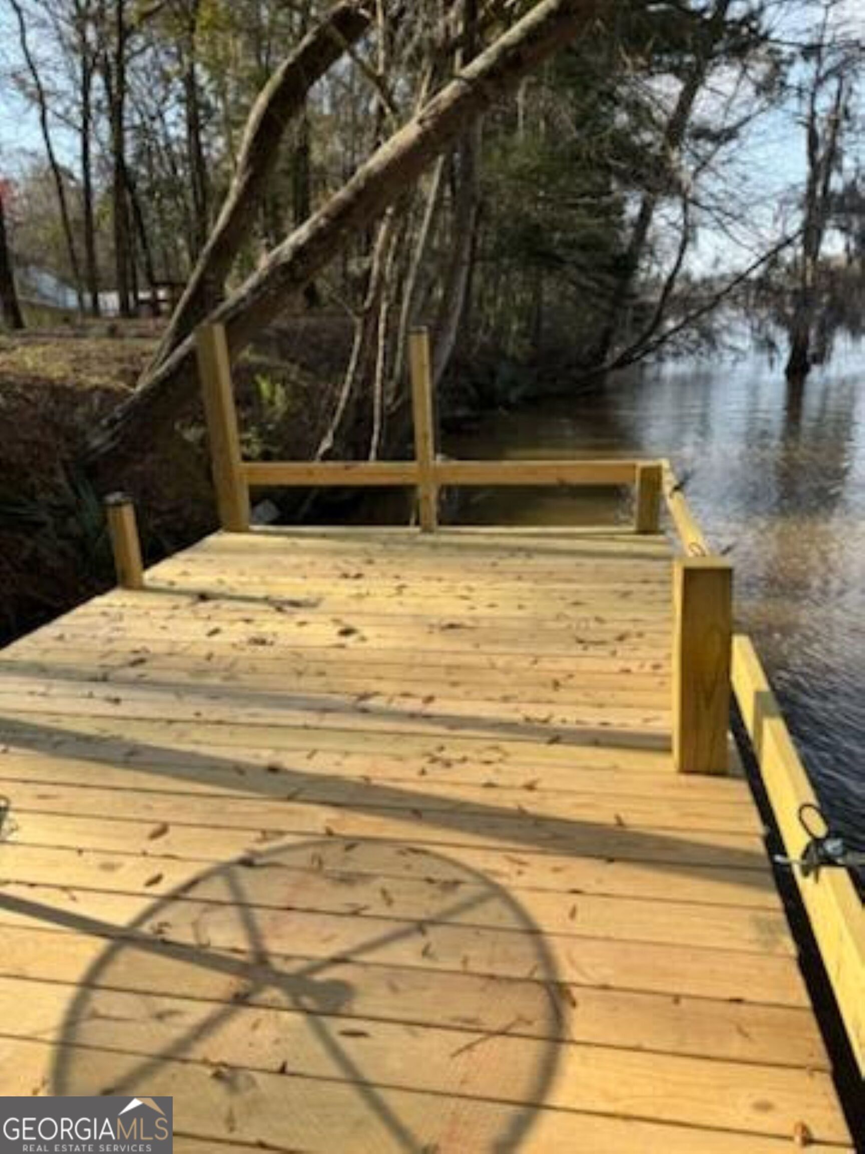 320 Drayton Woods Road Vienna, GA 31092 - Photo 6 of 11 a view of swimming pool