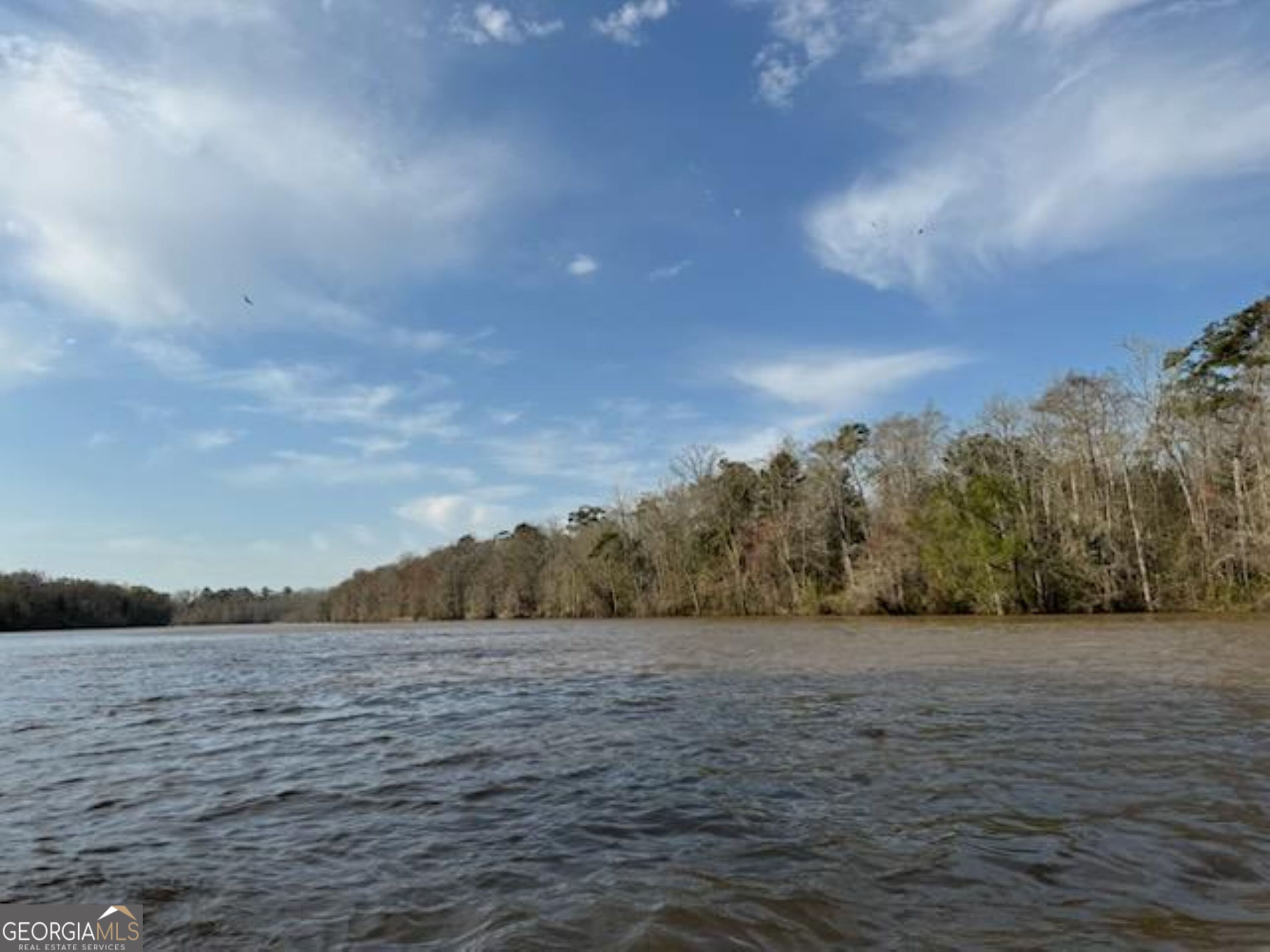 320 Drayton Woods Road Vienna, GA 31092 - Photo 7 of 11 a view of mountain with lake view