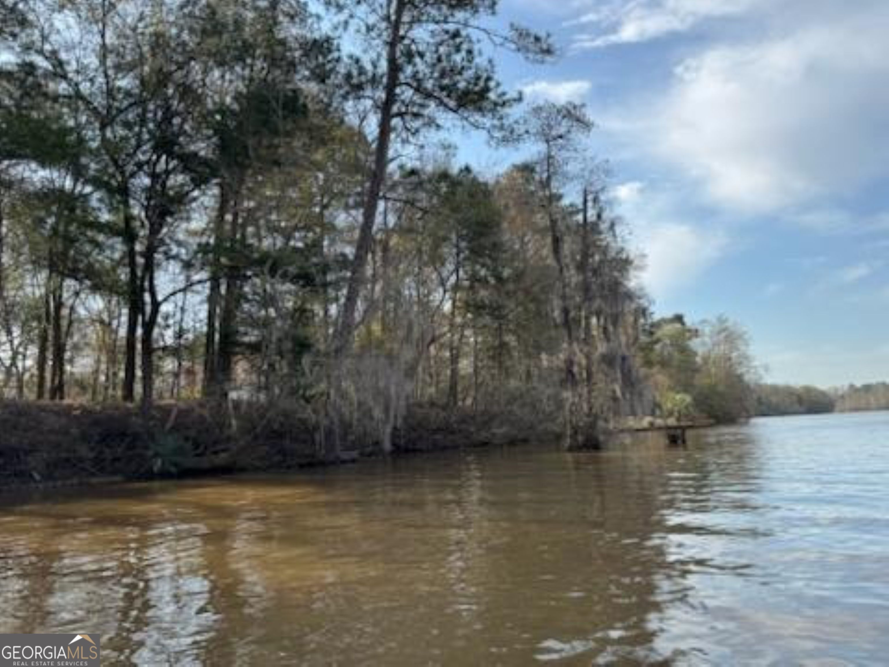 320 Drayton Woods Road Vienna, GA 31092 - Photo 10 of 11 a view of lake with outdoor space