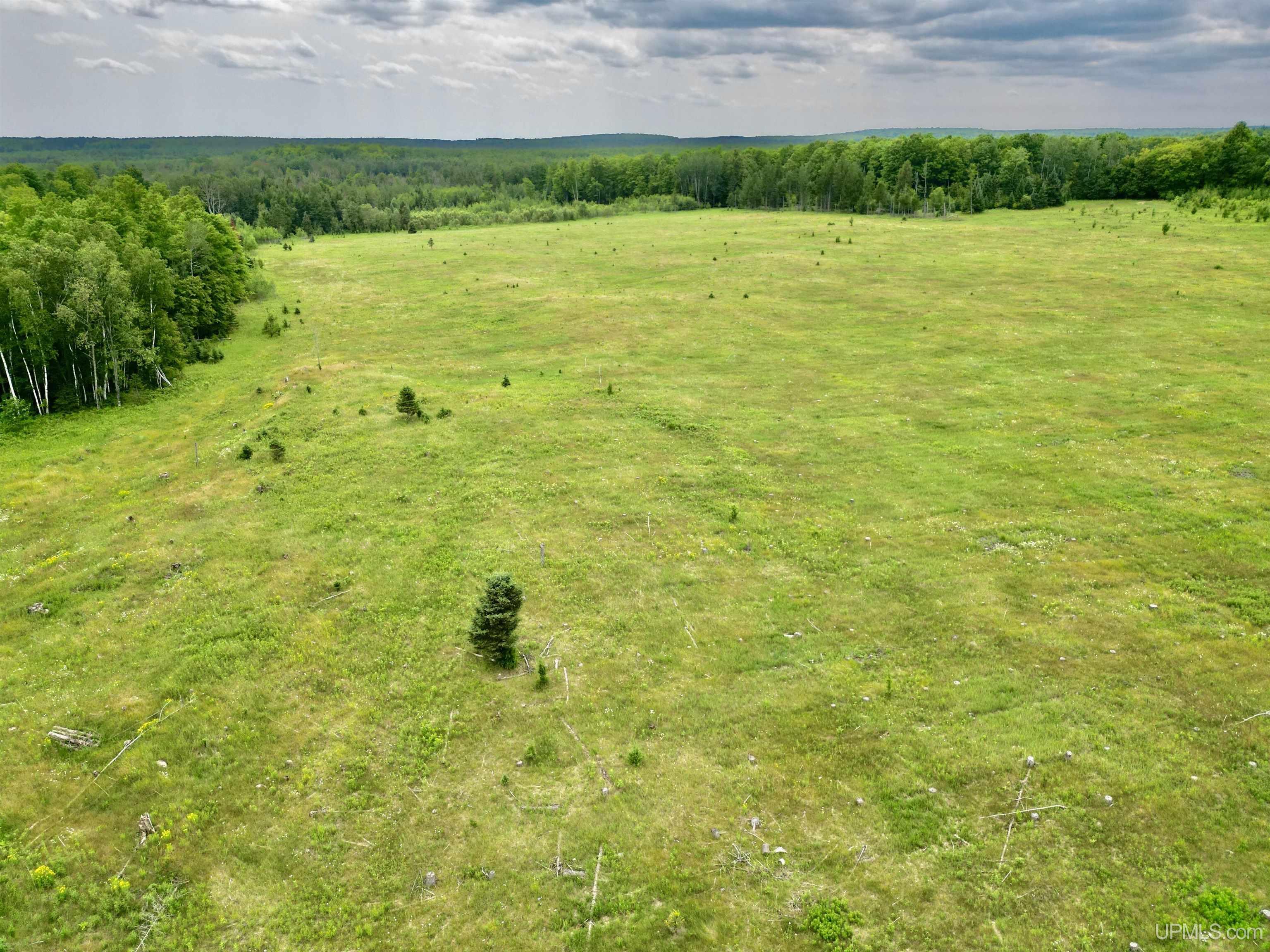 Tbd Tbd Truax Lane Road, Unit 1 Cornell, MI 49818 - Photo 4 of 13
