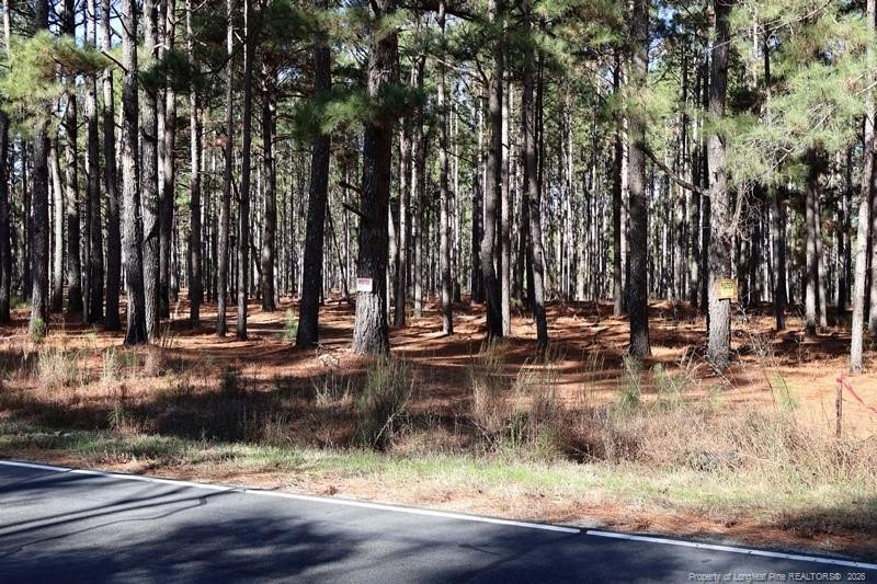 Stuarts Mill Road Fairmont, NC 28340 - Photo 11 of 15 a view of a yard with large trees