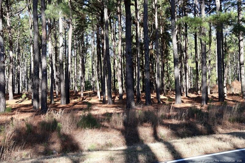 Stuarts Mill Road Fairmont, NC 28340 - Photo 15 of 15 a view of water with large trees