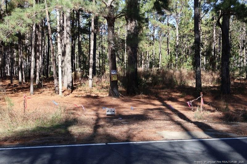 Stuarts Mill Road Fairmont, NC 28340 - Photo 10 of 15 a view of outdoor space with trees