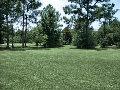 2367 Valley Road Navarre, FL 32566 - Photo 1 of 10 Huge backyard with mature trees