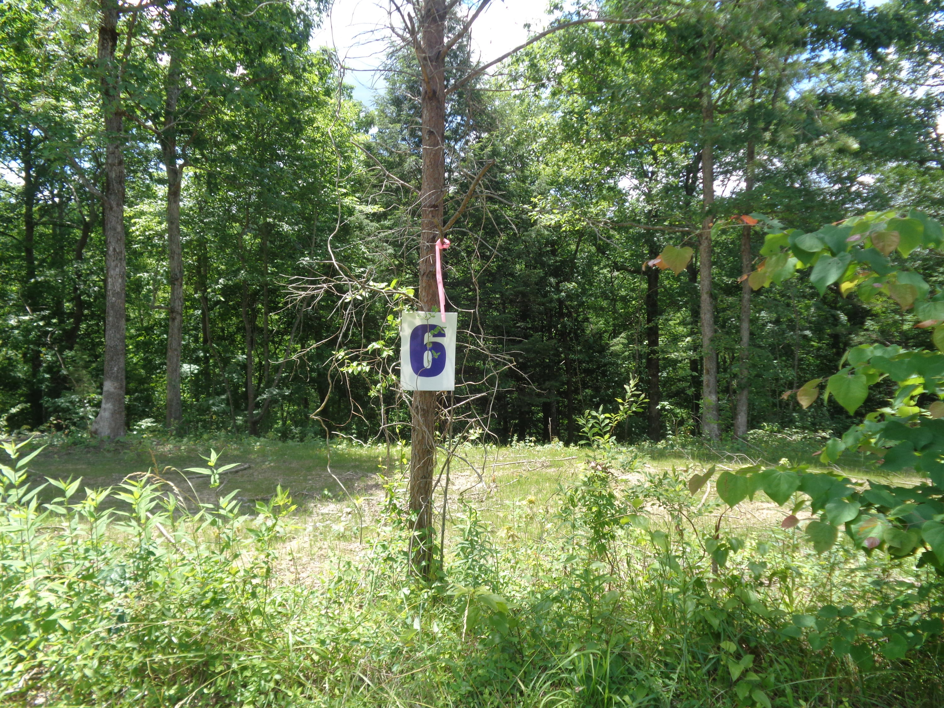 Lot 6 Fount Hubbard Road London, KY 40741 - Photo 14 of 24 DSC04856