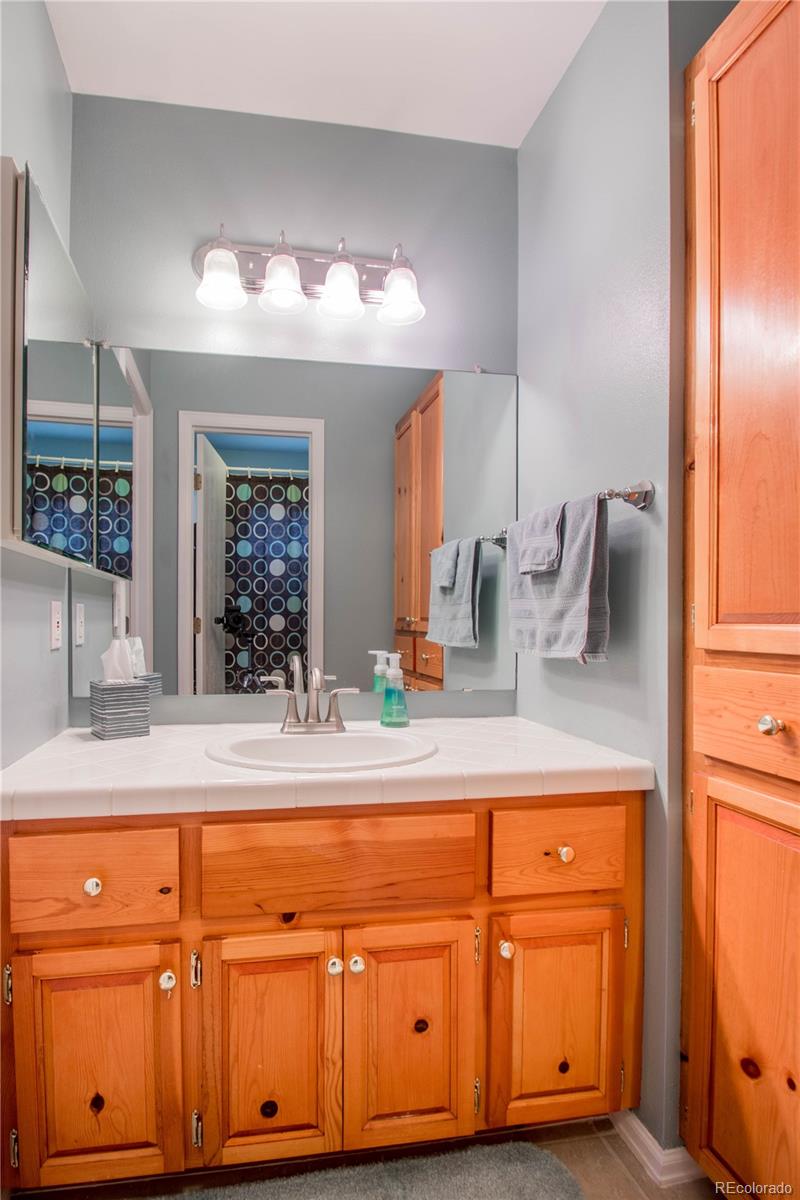 9184 Rimrock Court Highlands Ranch, CO 80126 - Photo 17 of 25 Gallery Image 17
